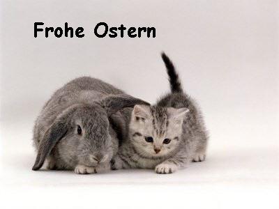 Frohe Ostern